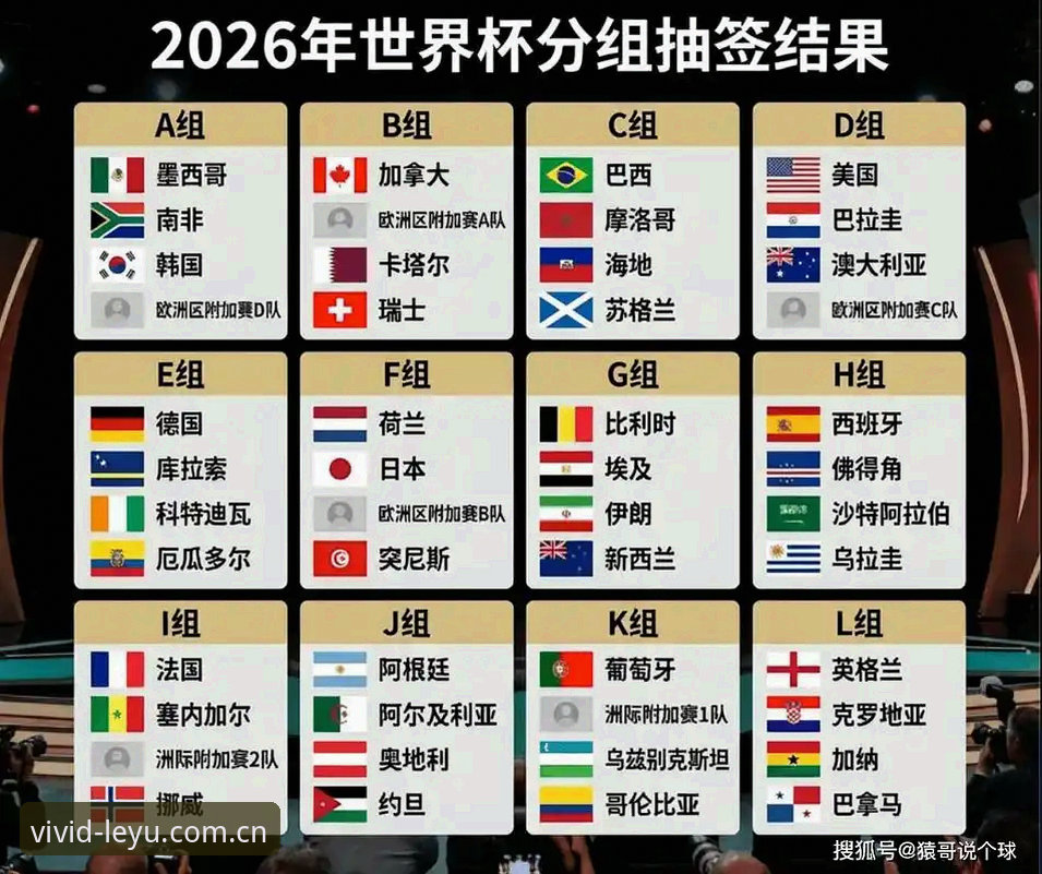 世界杯观赛冷场深度分析：签证危机与地缘政治如何影响全球球迷赴美热情